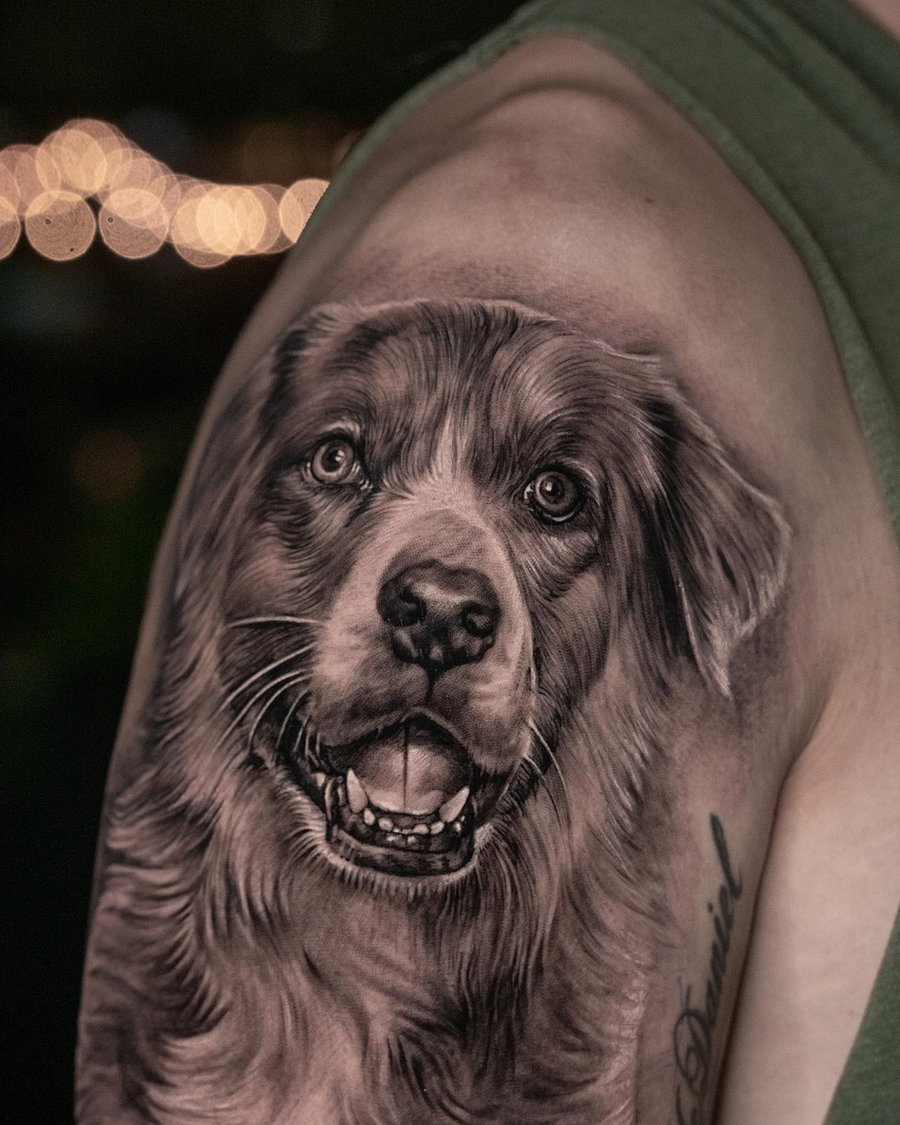 Black and grey realism dog portrait tattoo on upper arm